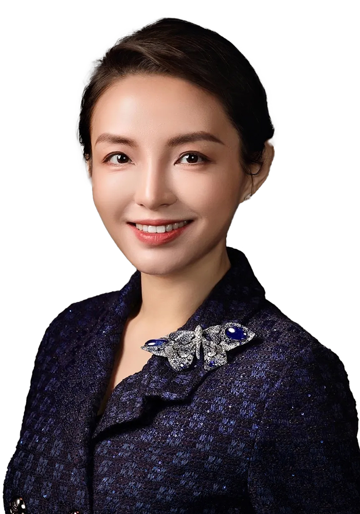 Dr. Mengyu Lu